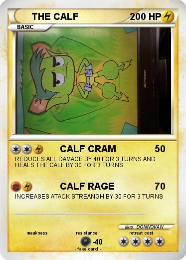 Pokemon THE CALF