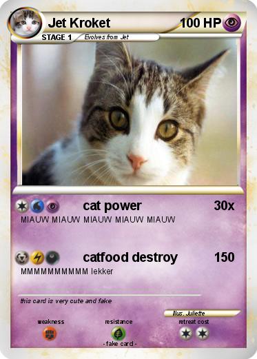 Pokemon Jet Kroket