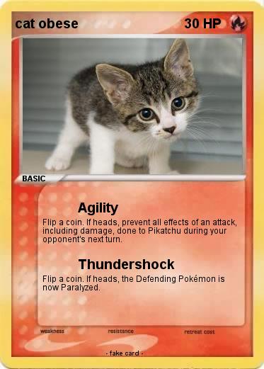 Pokemon cat obese