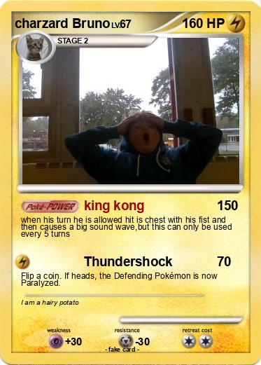 Pokemon charzard Bruno