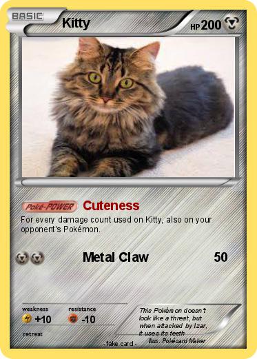 Pokemon Kitty