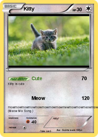 Pokemon Kitty