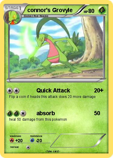 Pokemon connor's Grovyle