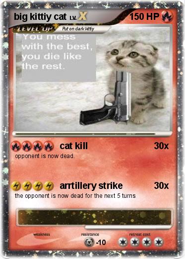 Pokemon big kittiy cat