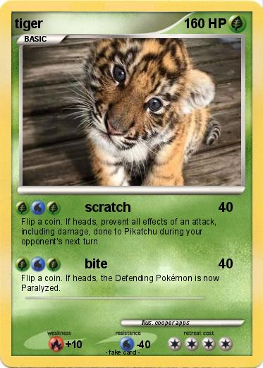 Pokemon tiger