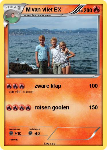 Pokemon M van vliet EX
