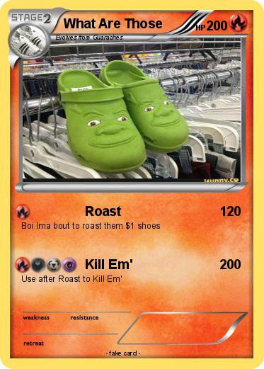 Pokemon What Are Those