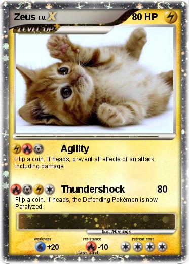 Pokemon Zeus