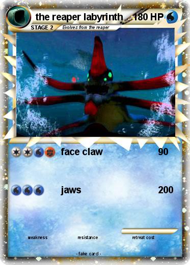 Pokemon the reaper labyrinth