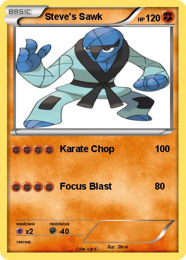 Pokemon Steve's Sawk