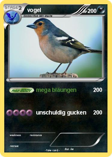Pokemon vogel