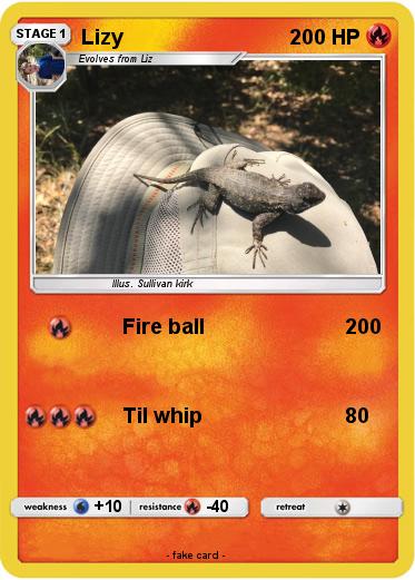 Pokemon Lizy