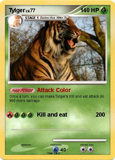 Pokemon Tylger