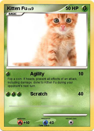 Pokemon Kitten Fu