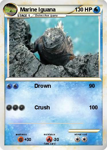 Pokemon Marine Iguana
