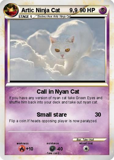 Pokemon Artic Ninja Cat      9,9