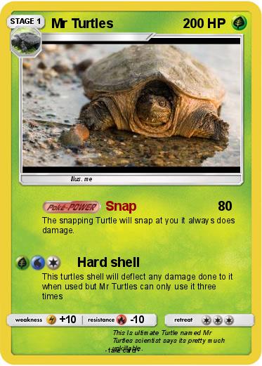 Pokemon Mr Turtles