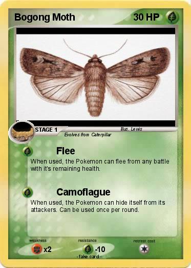 Pokemon Bogong Moth