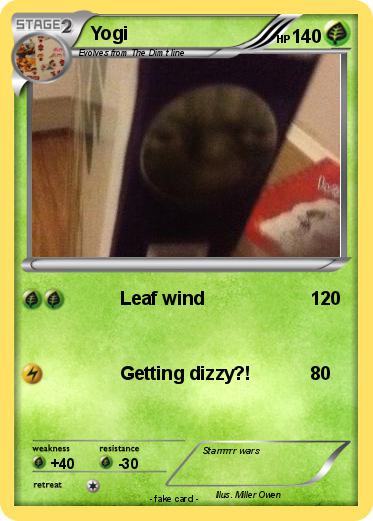 Pokemon Yogi