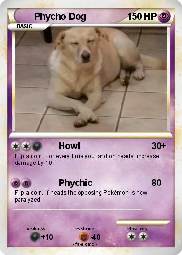 Pokemon Phycho Dog