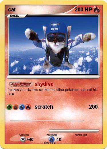 Pokemon cat