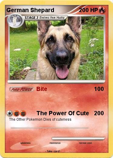 Pokemon German Shepard