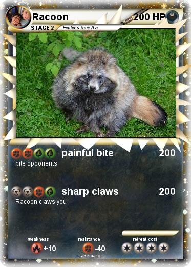Pokemon Racoon