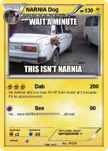 Pokemon NARNIA Dog