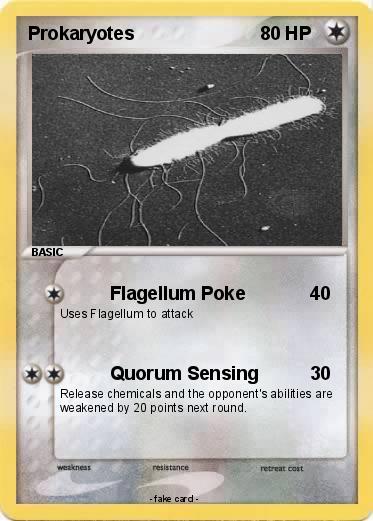 Pokemon Prokaryotes