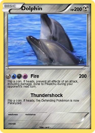 Pokemon Dolphin