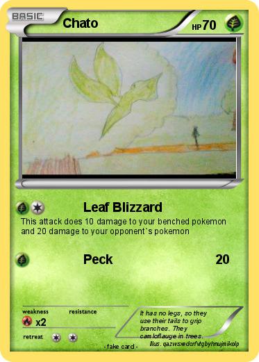 Pokemon Chato