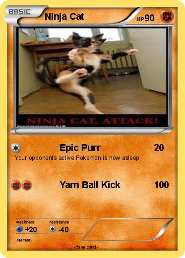 Pokemon Ninja Cat