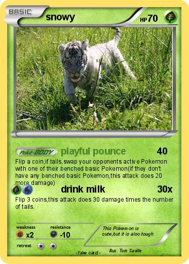 Pokemon snowy