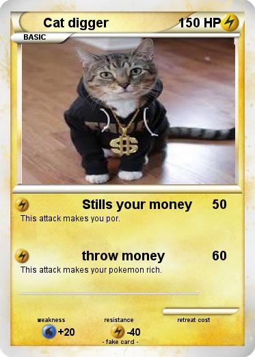 Pokemon Cat digger