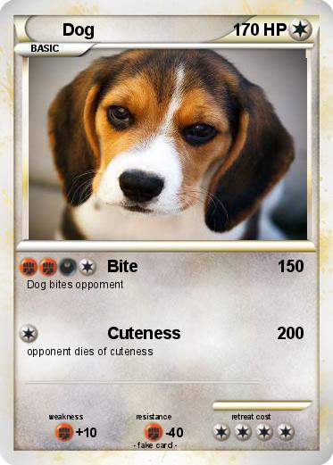 Pokemon Dog