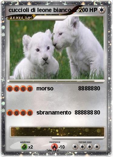 Pokemon cuccioli di leone bianco