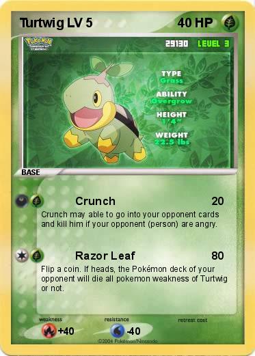Pokemon Turtwig LV 5