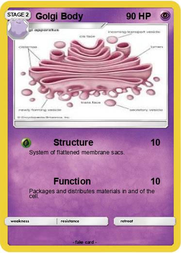 Pokemon Golgi Body