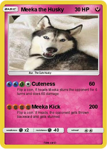 Pokemon Meeka the Husky