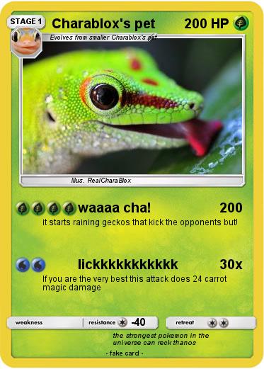 Pokemon Charablox's pet