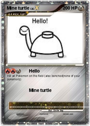 Pokemon Mine turtle