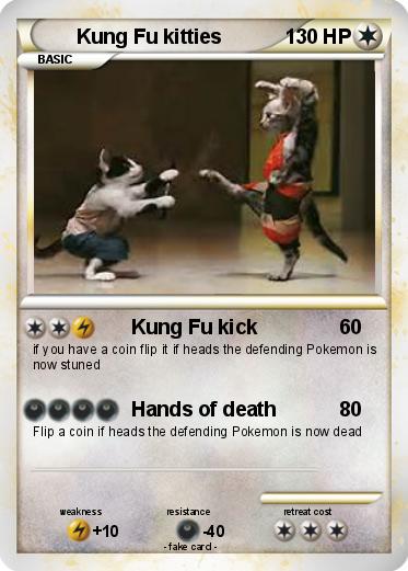 Pokemon Kung Fu kitties
