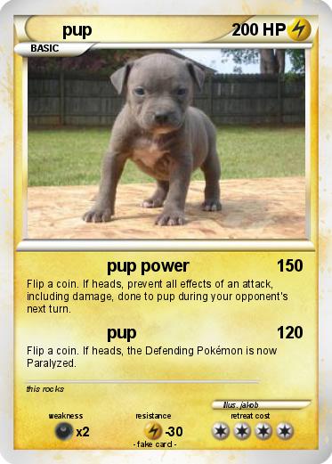 Pokemon pup