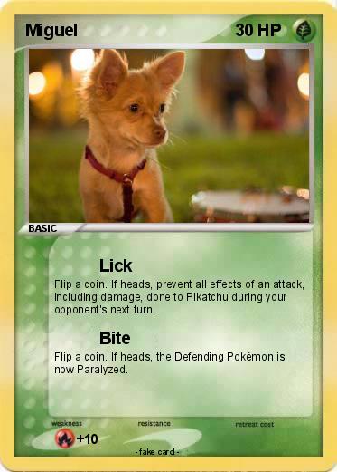 Pokemon Miguel
