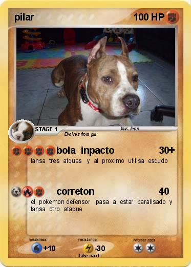 Pokemon pilar