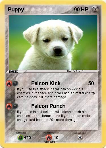 Pokemon Puppy
