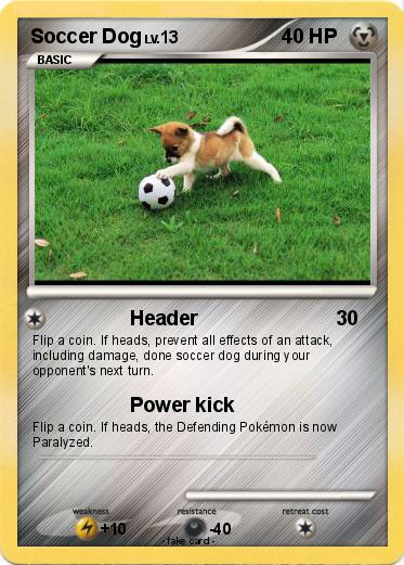 Pokemon Soccer Dog