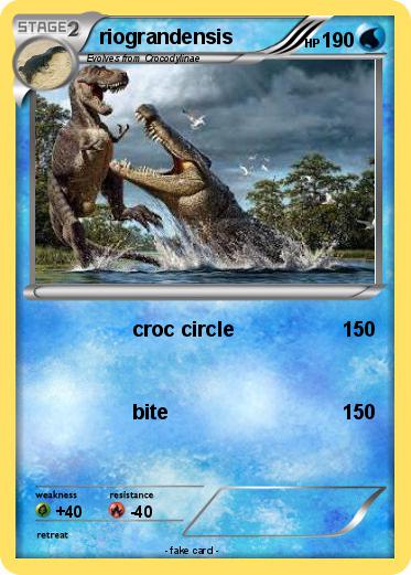 Pokemon riograndensis