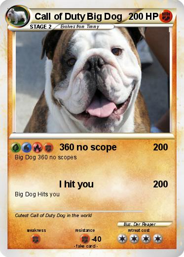 Pokemon Call of Duty Big Dog