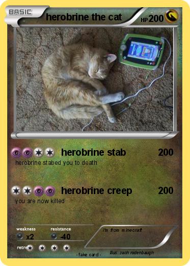 Pokemon herobrine the cat